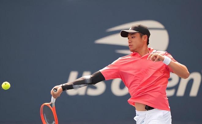 为何鹈鹕让 为何鹈鹕让